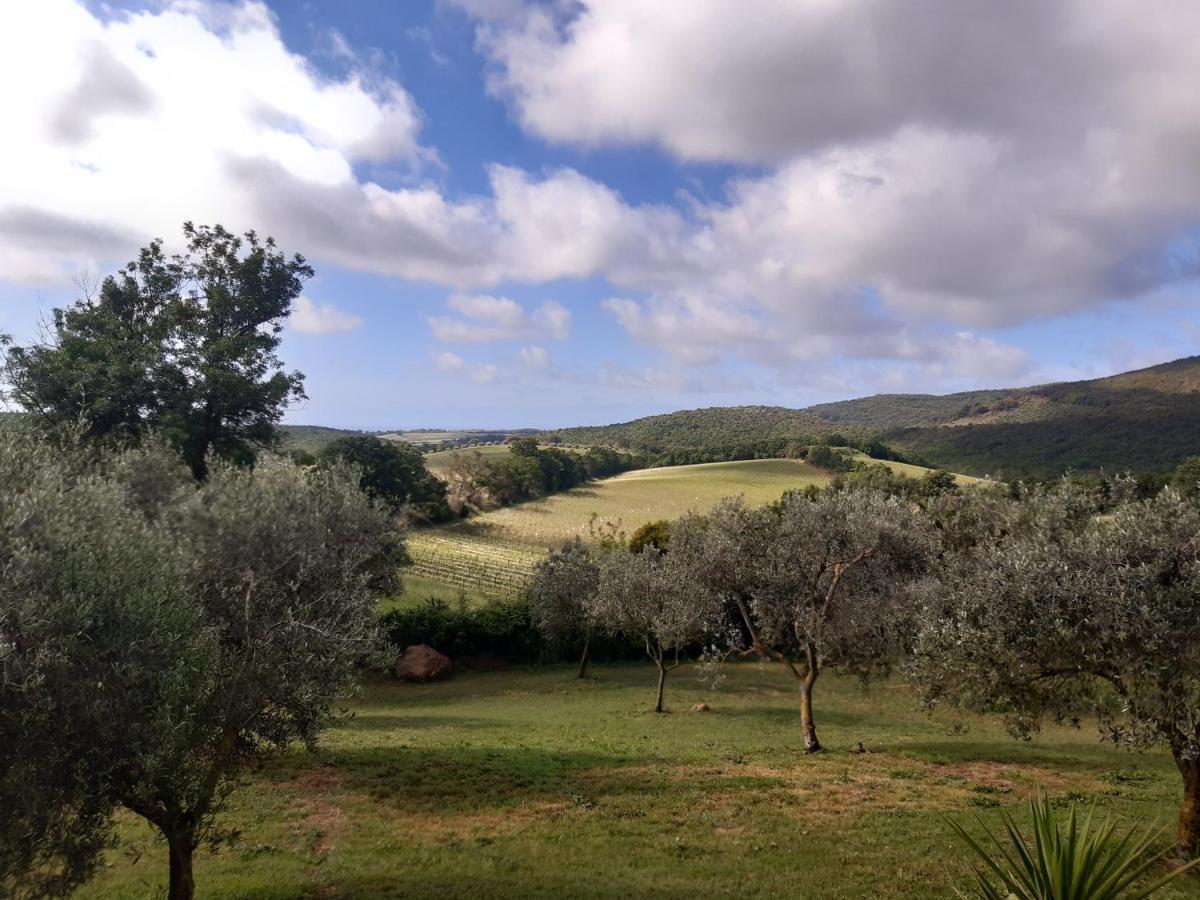 Agriturismo Colleverde Capalbio Exterior photo