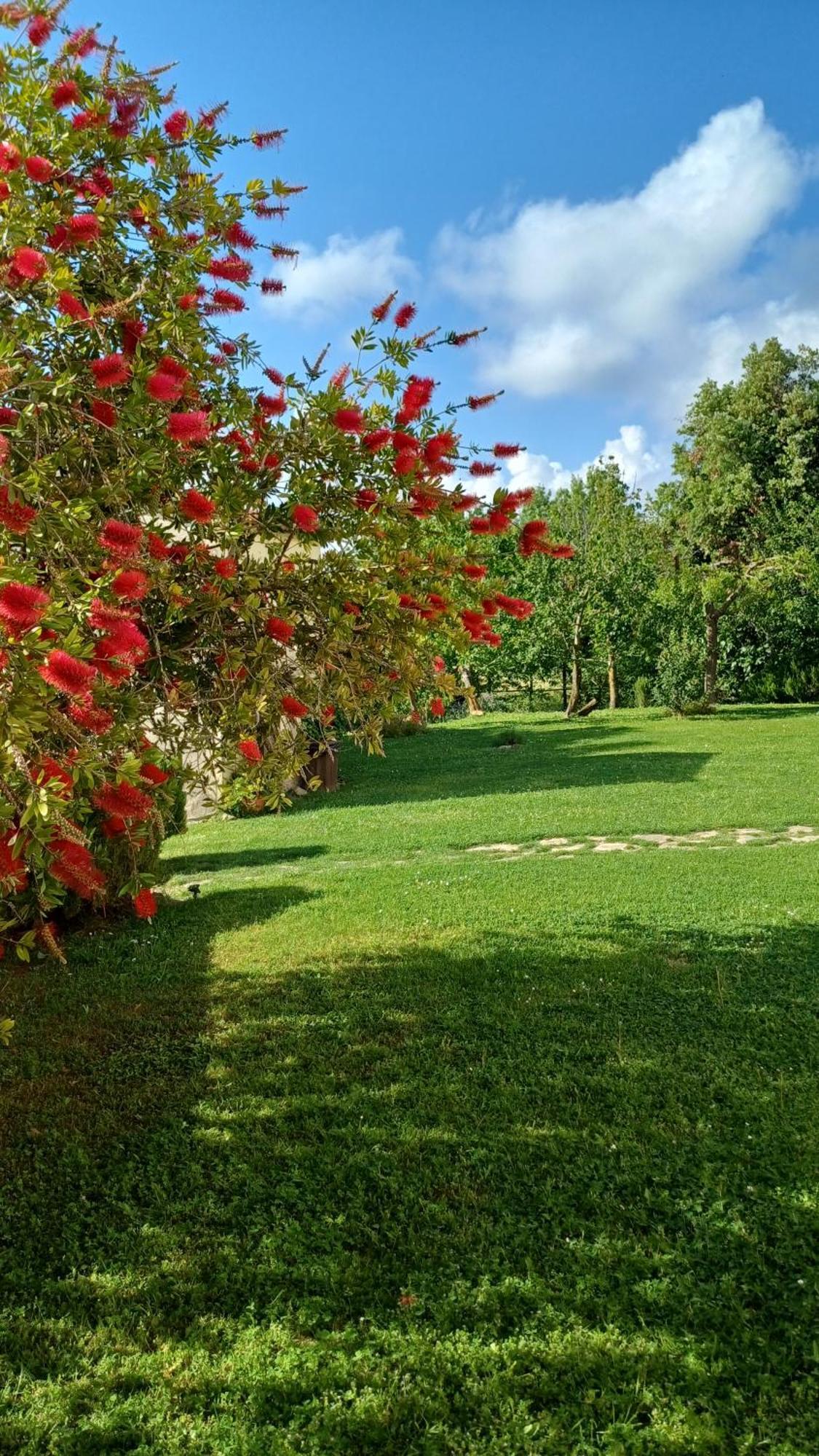 Agriturismo Colleverde Capalbio Exterior photo